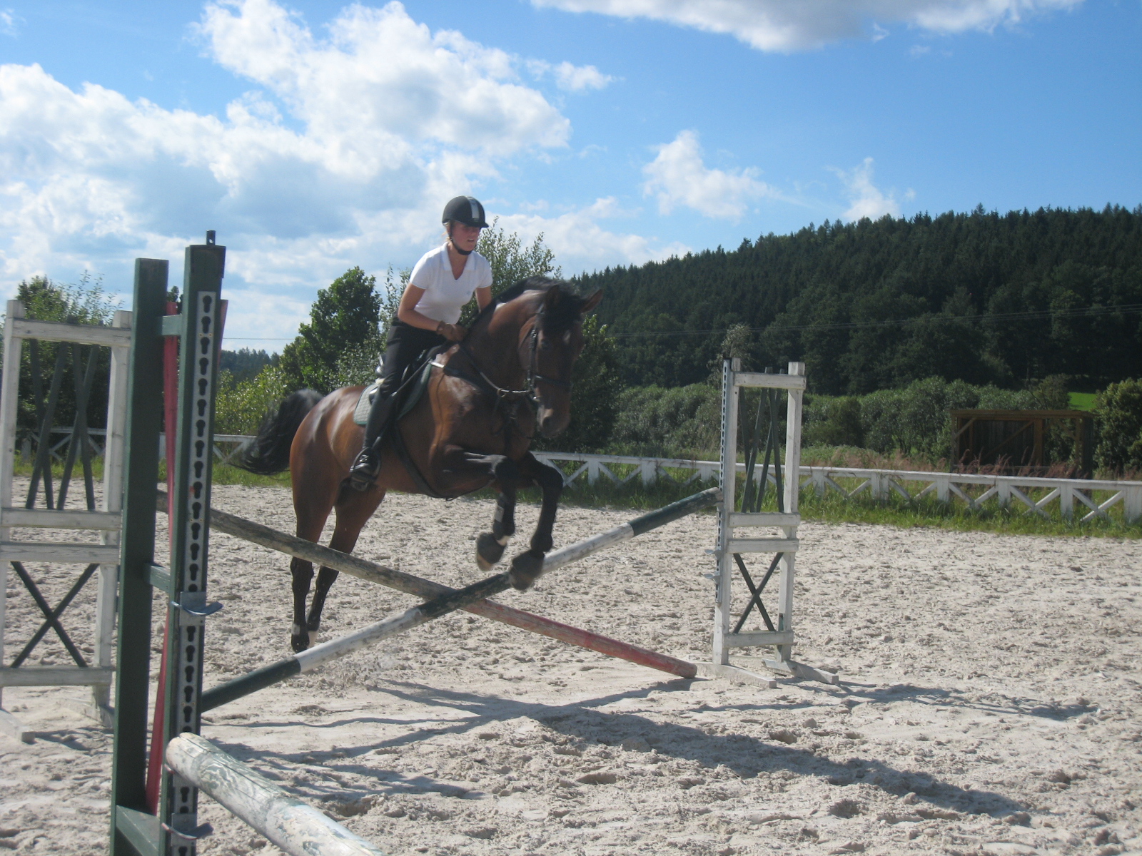 humpolec 2009 a další 253.JPG