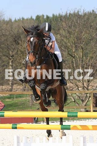 Fergie Opřetice 1.jpg